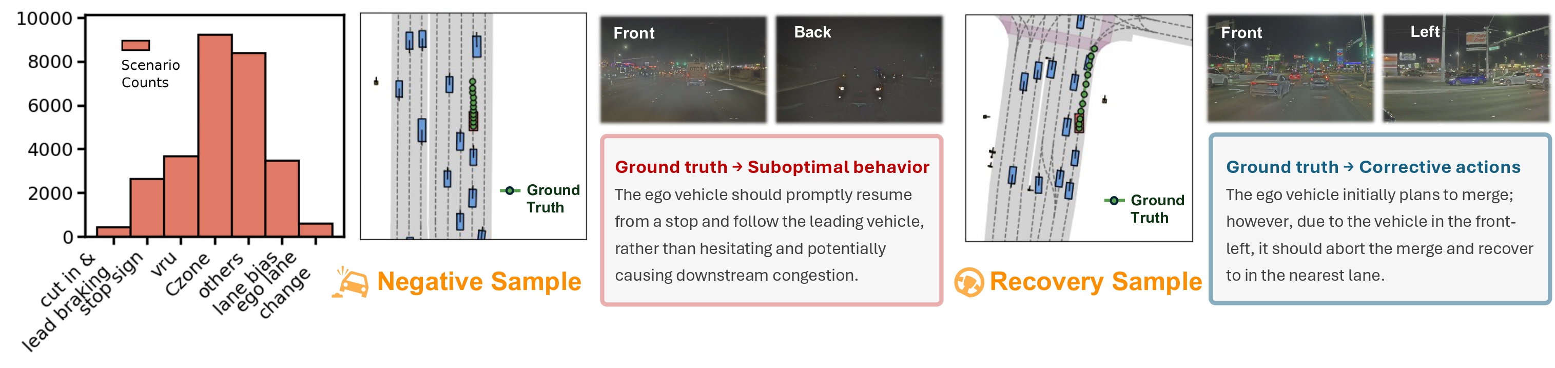 Dataset Distribution
